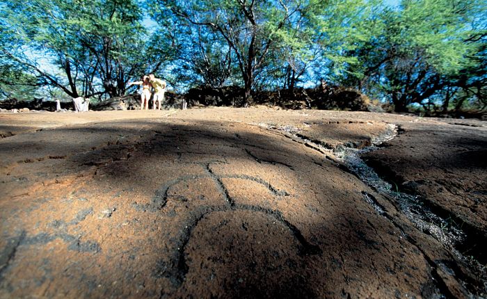 Petroglifos de Puako 