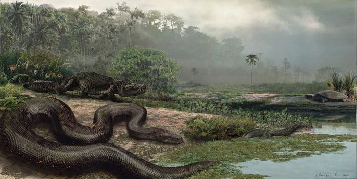 Serpientes gigantes de la mitología Amazónica
