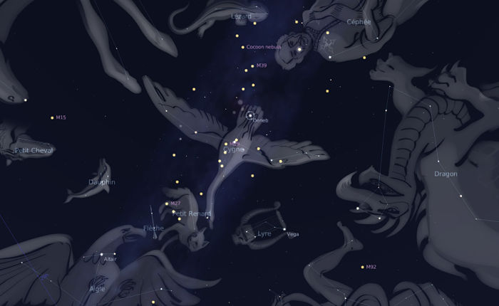 Constelación de cisne
