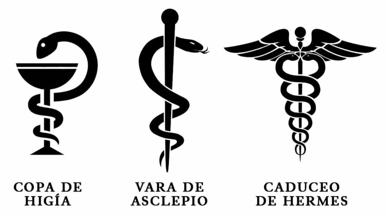 simbologia serpiente medicinas