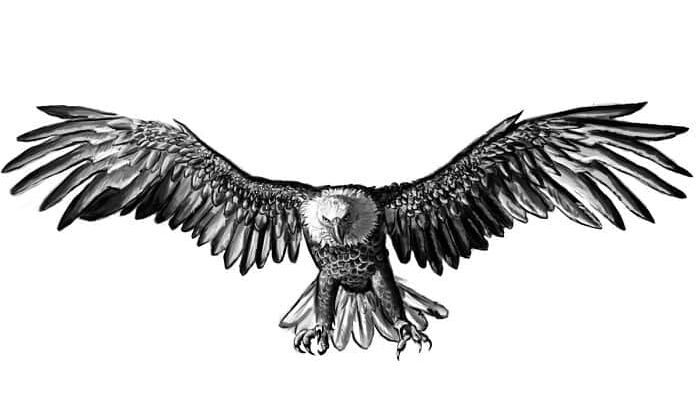 Halcón 'Io: Ascensión Significado de Ascensión