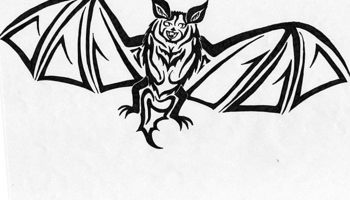 Murciélago - Pe'ape'a: Respeto Mitología Hawaiana