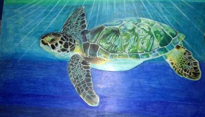 Significado de Soberanía Significado de Soberanía