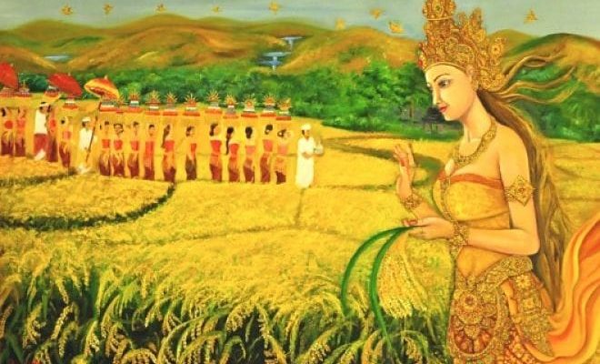 Divinidad del Arroz de las islas de Bali y Java en Indonesia. 3) Dewi Shri