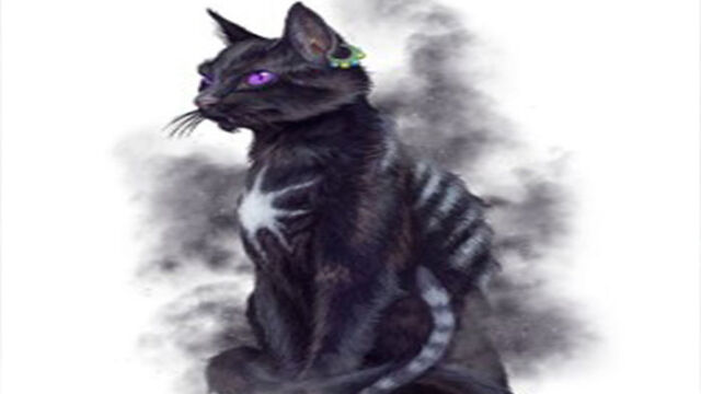 Gato ladrón de almas 4) Cat Sìth